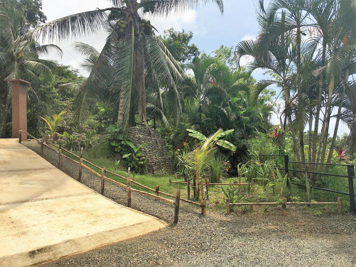 Casa Del Toucan Dominical Exteriér fotografie