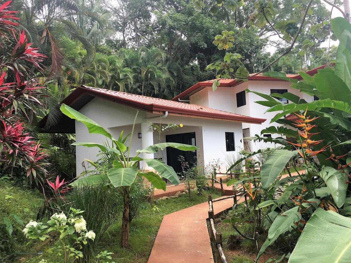 Casa Del Toucan Dominical Exteriér fotografie