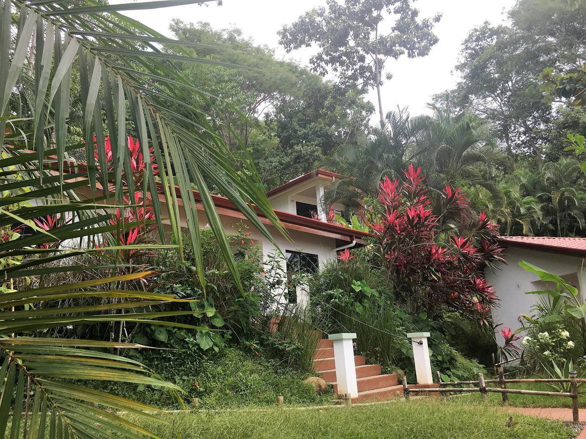 Casa Del Toucan Dominical Exteriér fotografie