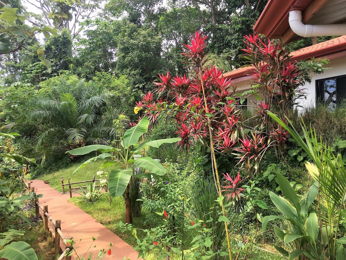 Casa Del Toucan Dominical Exteriér fotografie