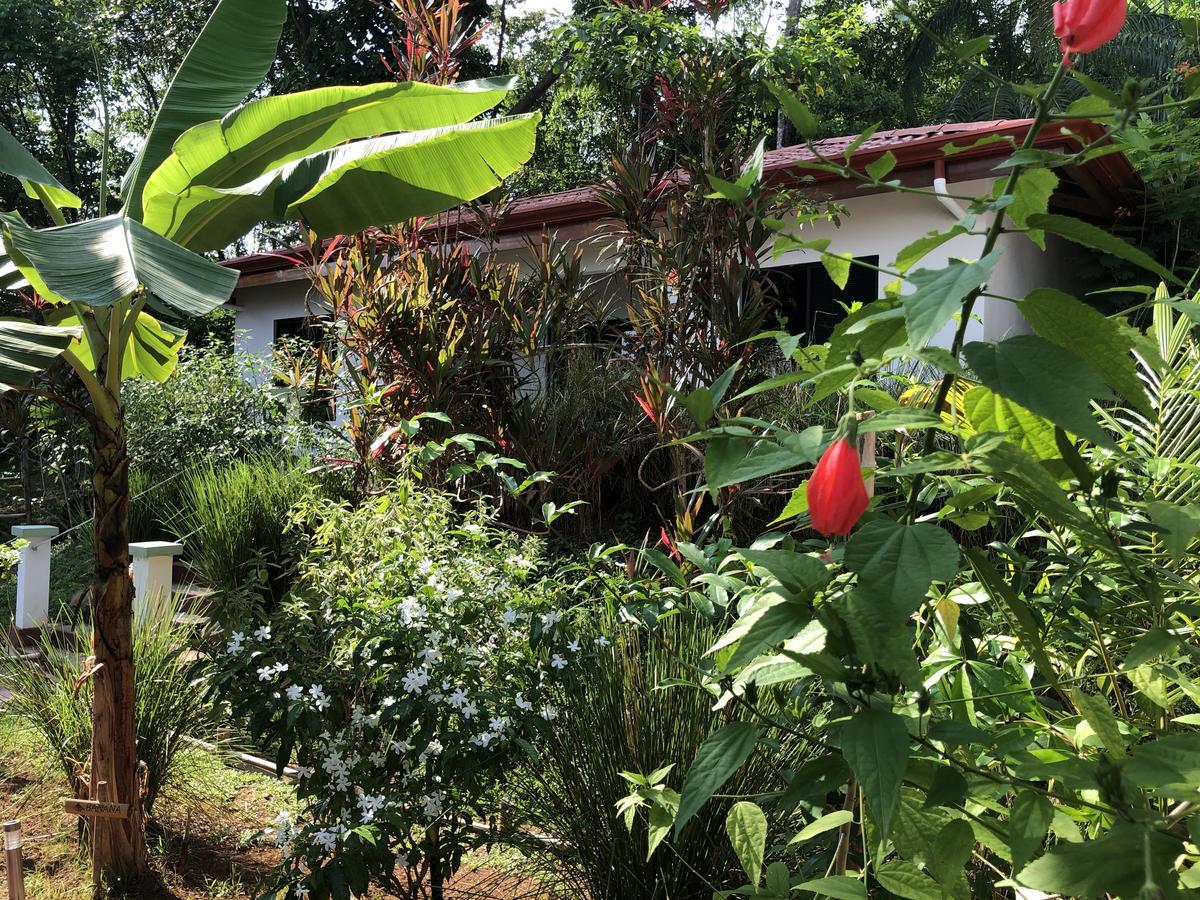 Casa Del Toucan Dominical Exteriér fotografie